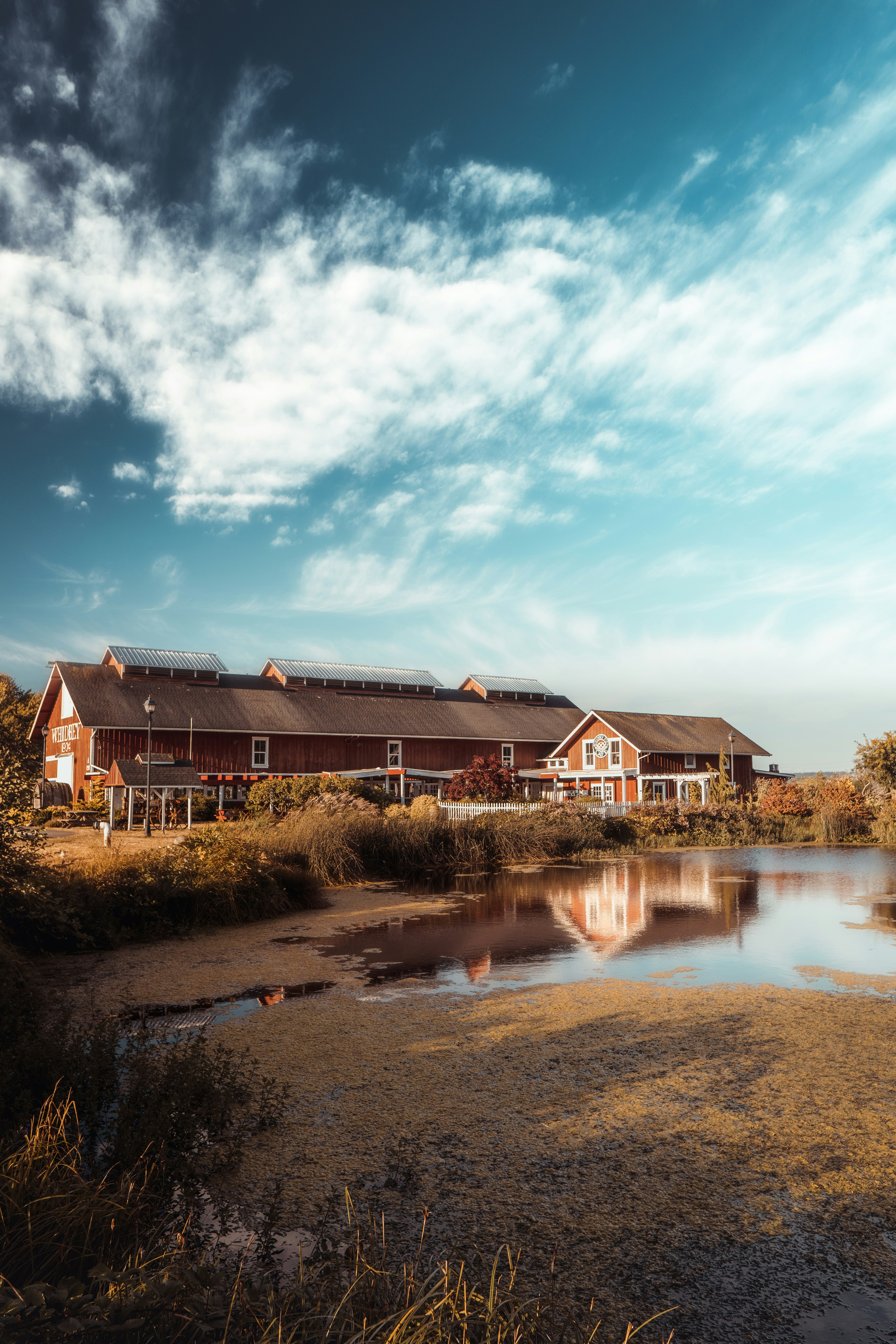 brown and white house beside river under blue sky during daytime